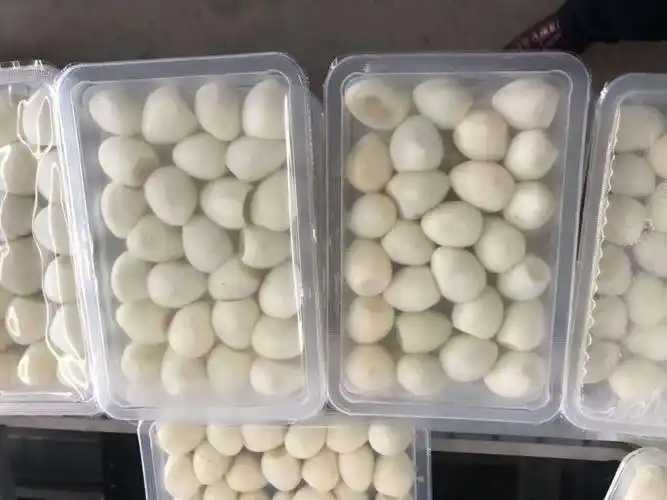 整線解決方案，優(yōu)化生產(chǎn)流程：鵪鶉蛋包裝神器來襲